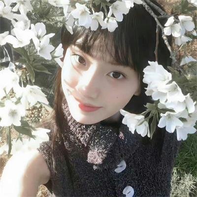 屈伏塔与我